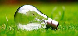 alt="Florida utility assistance programs"