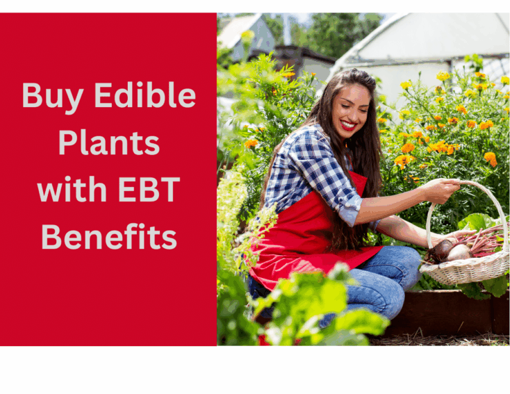 alt="Edible Plants with EBT"